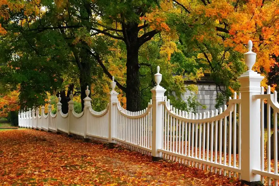 Professional Fencing Contractors in Columbia, SC
