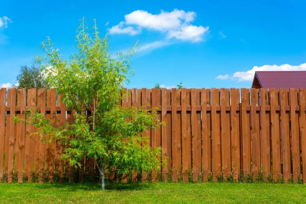 How Fencing Complements Professional Landscaping Projects Columbia, SC