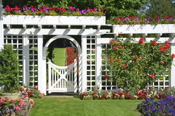 Landscaping Service in Columbia, SC